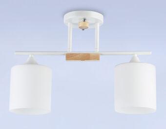 Накладной светильник Ambrella Light TR9541