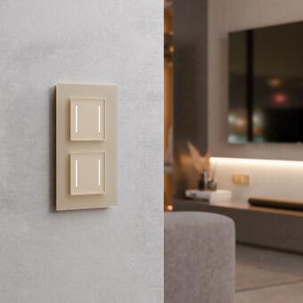 Выключатель Werkel W4523011