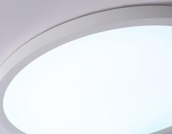 Накладной светильник Ambrella Light FZ1955