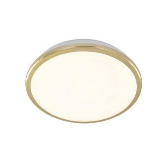 Накладной уличный светильник Citilux CL702162W