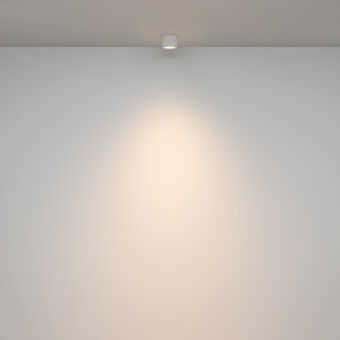 Накладной светильник Maytoni Technical C095CL-GX53-W