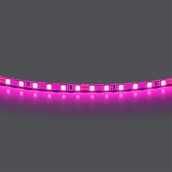 Лента Lightstar 420512