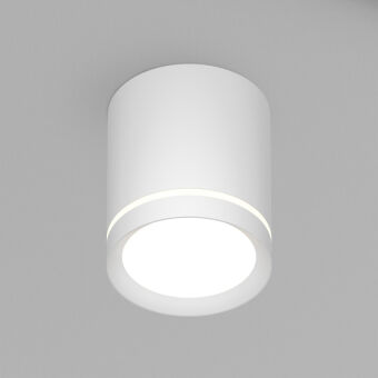 Накладной светильник Denkirs DK4013-WH