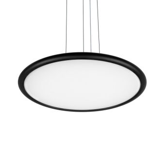 Подвесной светильник LOFT IT 10454/500P Black