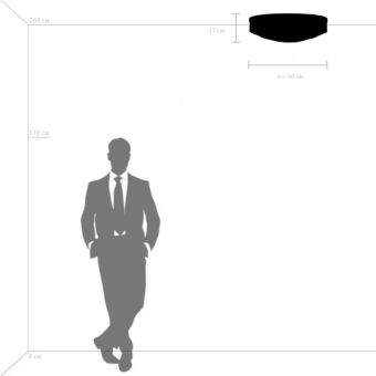 Накладная люстра Lightstar 720402