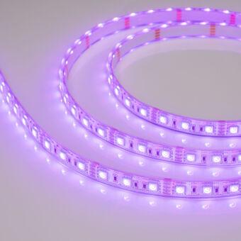 Лента Arlight 029599(2)