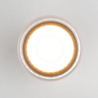 Накладной уличный светильник Elektrostandard Light LED 2107 (35140/H) белый