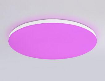 Накладной светильник Ambrella Light FZ2002