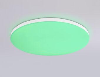 Накладной светильник Ambrella Light FZ2001