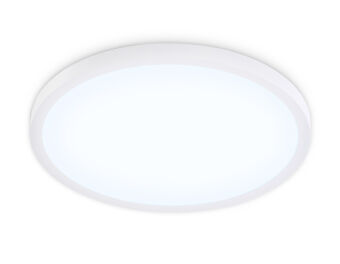 Накладной светильник Ambrella Light FZ1955