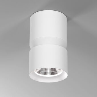 Накладной светильник Elektrostandard 25049/LED 12W 4000К белый