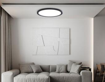 Накладной светильник Ambrella Light FZ1910