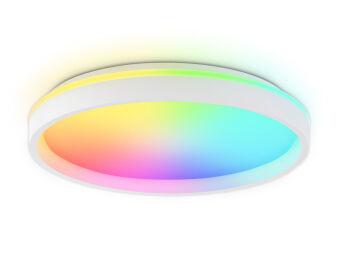 Накладной светильник Ambrella Light FZ607