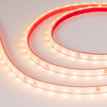 Лента Arlight 024566(2)