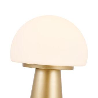 Настольная лампа Favourite 4450-1T