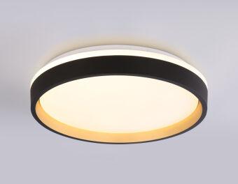 Накладной светильник Ambrella Light FZ604