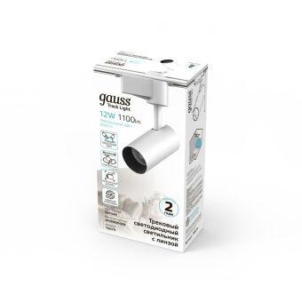 Светильник на шине Gauss TR079