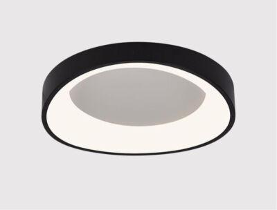   ARTE Lamp A2698PL-48BK