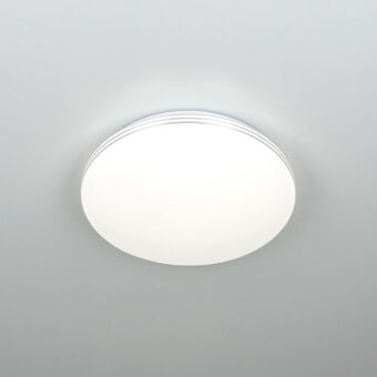 Накладной светильник Citilux CL71424SV