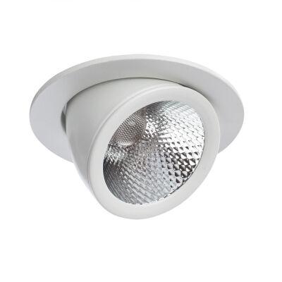    Arte Lamp CARDANI A1212PL-1WH