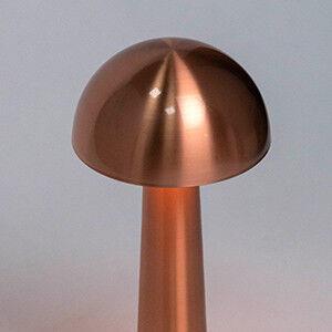 Настольная лампа Escada 10257/L LED