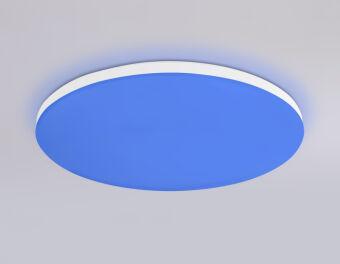 Накладной светильник Ambrella Light FZ2001