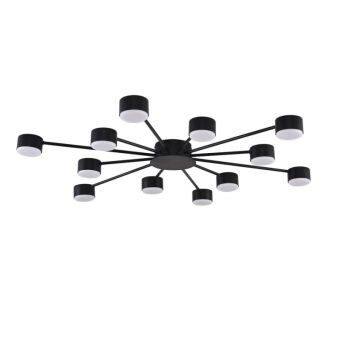 Накладная люстра LUMION 8344/12C