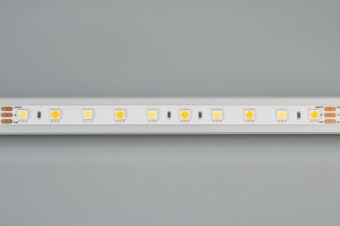 Лента Arlight 025213