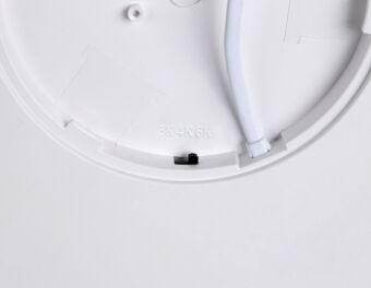 Накладной светильник Ambrella Light FZ1901