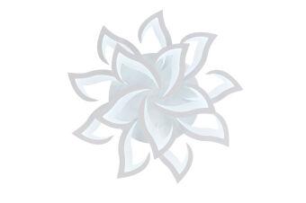 Накладная люстра Natali Kovaltseva LED LAMPS 81335