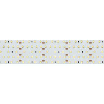 Лента Arlight 021203