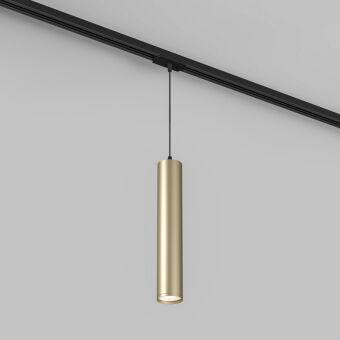 Светильник на шине Denkirs DK6210-BG