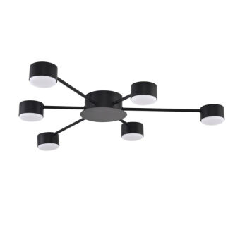 Накладная люстра LUMION 8344/6C