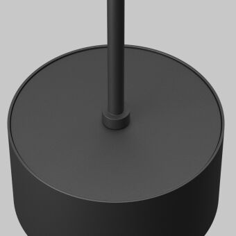 Подвесной светильник Maytoni Technical P102PL-12W3K-B