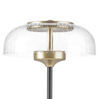 Настольная лампа Lightstar 738973