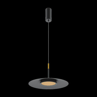 Подвесной светильник Maytoni MOD041PL-L15B3K1