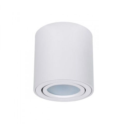   ARTE Lamp A1513PL-1WH