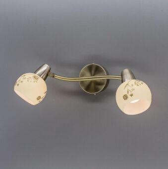 Спот Citilux CL520523