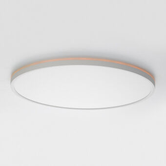 Накладной светильник Citilux CL749500