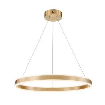 Подвесная люстра Indigo V000066L