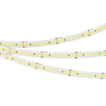 Лента Arlight 040251