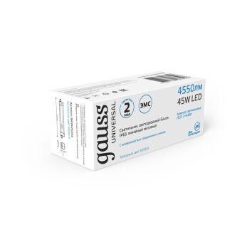 Светильник промышленный Gauss 843425345