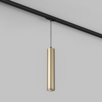 Светильник на шине Denkirs DK6210-BG