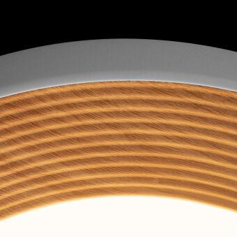 Накладной светильник LOFT IT 10255/500 White