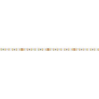 Лента Arlight 037825