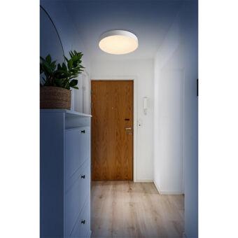 Накладной светильник Sonex 7779/ELN