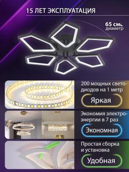 Накладная люстра Natali Kovaltseva LED LAMPS 81444