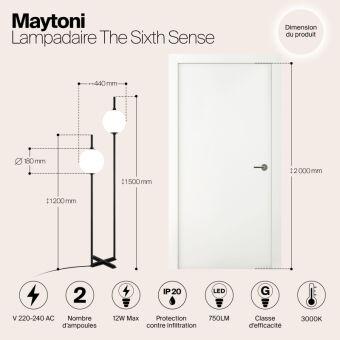 Торшер Maytoni Z020FL-L12BK