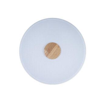 Накладной светильник LOFT IT 10003/24 White