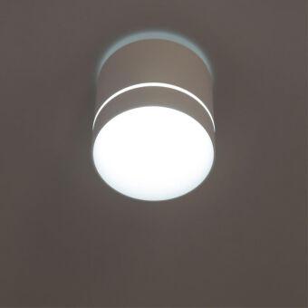 Накладной светильник Citilux CL745020N